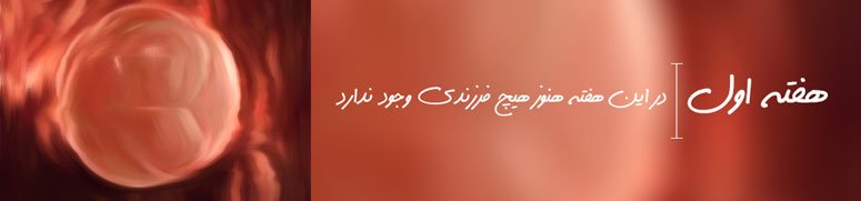 هفته اول بارداری