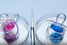 تعیین جنسیت با IVF