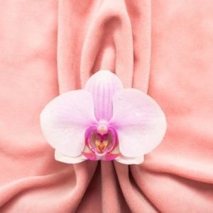 لابیاپلاستی در شیراز - بهترین دکتر لابیاپلاستی در شیراز - بهترین جراح زیبایی واژن و زنان در شیراز - هزینه عمل زیبایی واژن