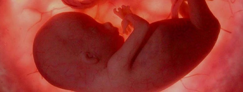 سکسکه جنین در بارداری